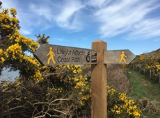 Guided walks to mark 15 years of Ceredigion Coast Path 
