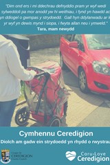 Cymhennu Ceredigion - Tara - image expands
