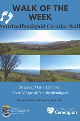 Walk of the Week - Pontrhydfendigaid Circular Walk - image expands