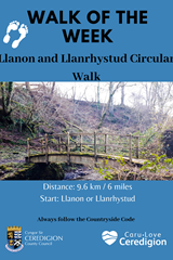 Walk of the Week - Llanon and Llanrhystud Circular Walk - image expands
