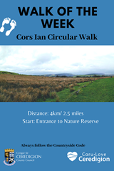 Walk of the Week - Cors Ian Circular Walk - image expands