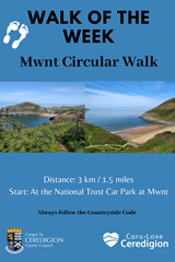 Walk of the Week > Mwnt Circular Walk - image expands