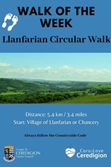 Walk of the Week - Llanfarian Circular Walk - image expands