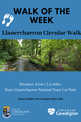 Walk of the Week - Llanerchaeron Circular Walk  - image expands