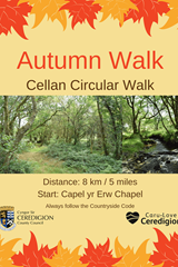 Autumn Walk - Cellan Circular Walk  - image expands