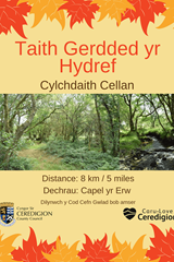 Taith Gerdded yr Hydref - Cylchdaith Cellan  - image expands