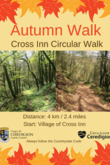 Autumn Walk - Cross Inn Circular Walk - image expands