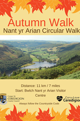 Autumn Walk - Nant yr Arian Circular Walk - image expands