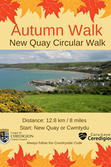 Autumn Walk - New Quay Circular Walk - image expands
