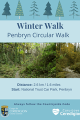 Winter Walk - Penbryn Circular Walk - image expands