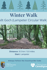 Winter Walk - Allt Goch (Lampeter) Circular Walk - image expands