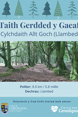 Taith Gerdded y Gaeaf - Cylchdaith Allt Goch (Llambed) - image expands