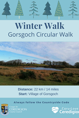 Winter Walk - Gorsgoch Circular Walk - image expands