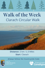 Walk of the Week - Clarach Circular Walk  - image expands