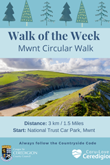 Walk of the Week - Mwnt Circular Walk - image expands