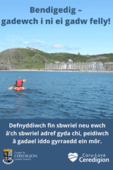 Defnyddiwch fin sbwriel neu ewch â’ch sbwriel adref gyda chi, peidiwch â gadael iddo gyrraedd ein môr. - image expands