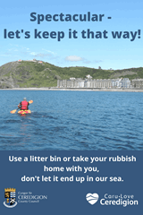 Use a litter bin or take your rubbish home with you,  don't let it end up in our sea. - image expands