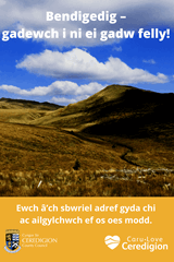Ewch â’ch sbwriel adref gyda chi ac ailgylchwch ef. - image expands