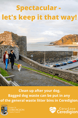 Clean up after your dog. - image expands