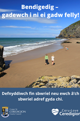 Defnyddiwch fin sbwriel neu ewch â’ch sbwriel adref gyda chi. - image expands