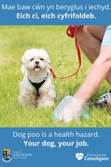 Dog poo is a health hazard - image expands