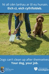 Dogs can't clean up after themselves - image expands