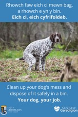 Clean up your dog's mess and dispose of it safely in a bin - image expands