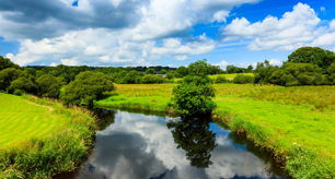Gorllewin Cymru yn rhoi afonydd yn gyntaf wrth lansio gwefan rheoli maetholion newydd