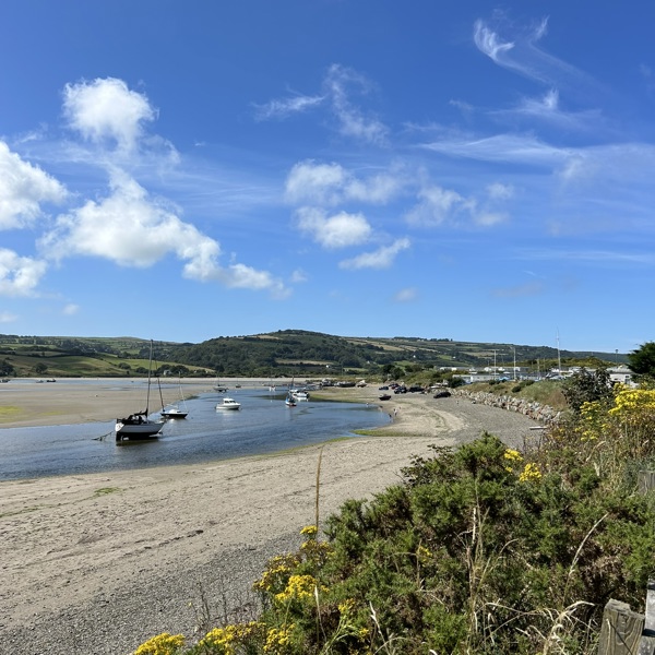 Mwnt Circular