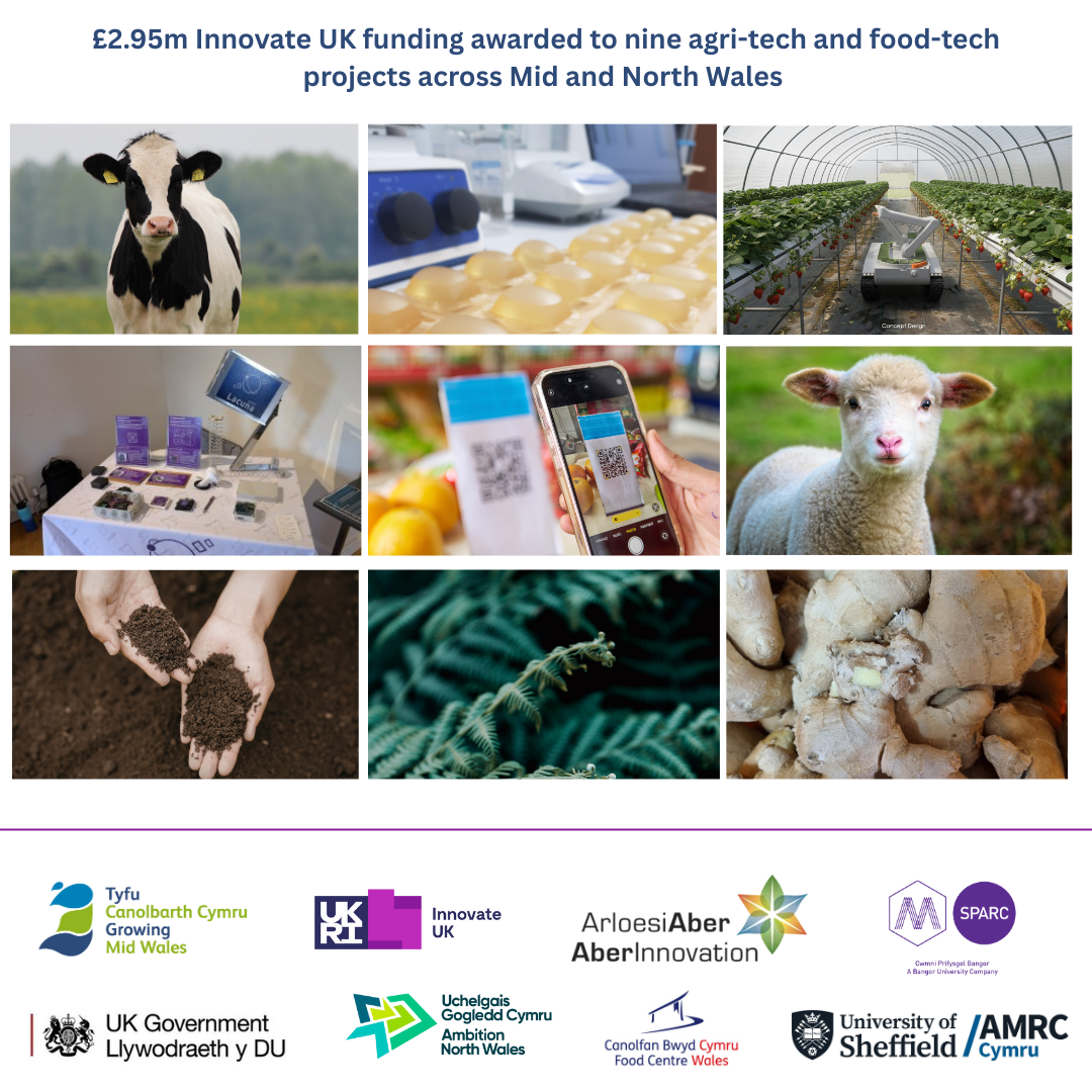 £2.95m Innovate UK funding awarded to nine agri-tech and food-tech projects