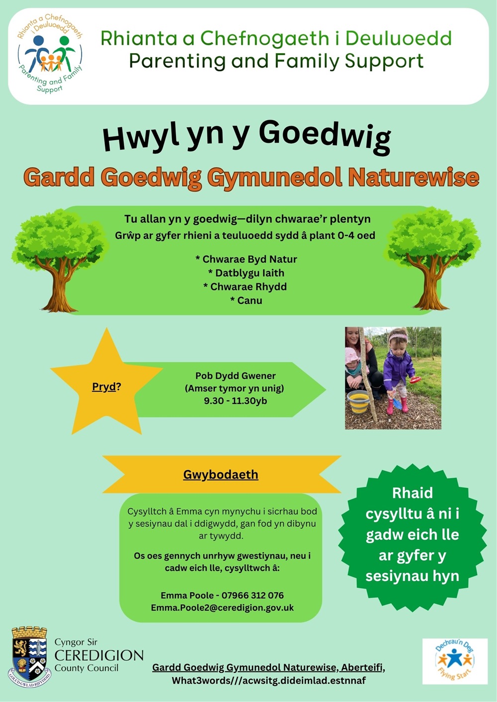 Hwyl yn y Goedwig