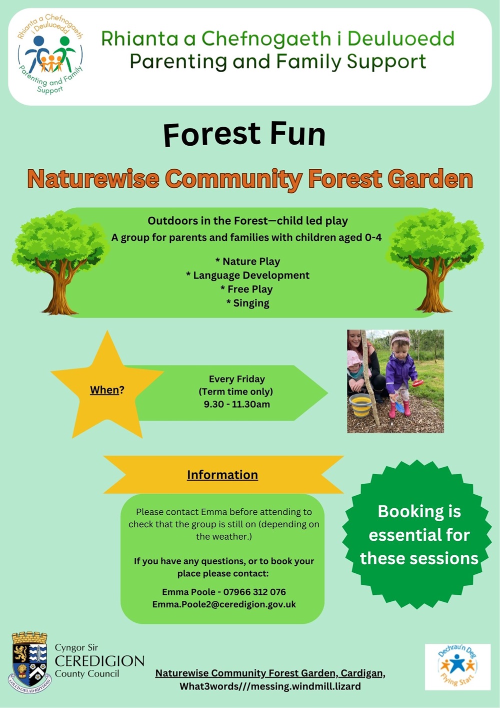 Forest Fun
