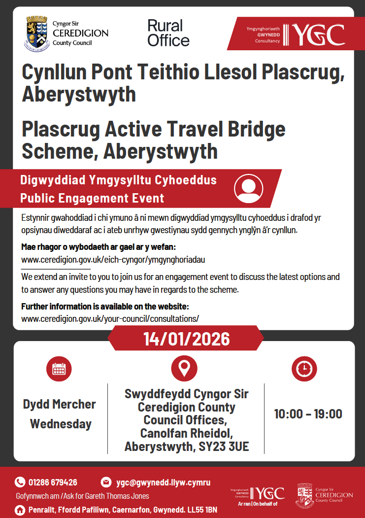 Share your views on future plans for Plascrug footbridge