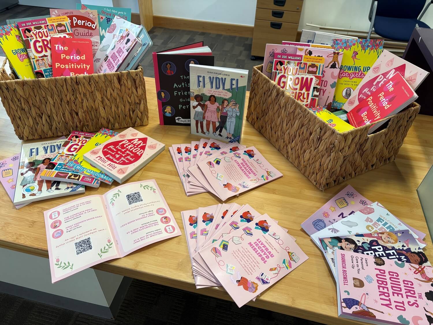 A group of books about Period Dignity